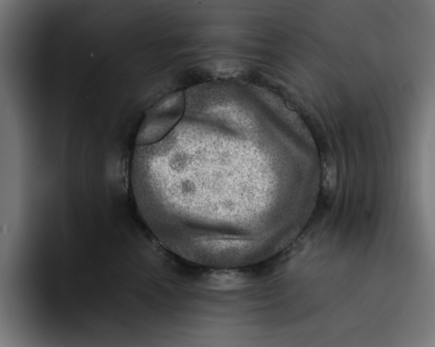 X0000092040666200710031025