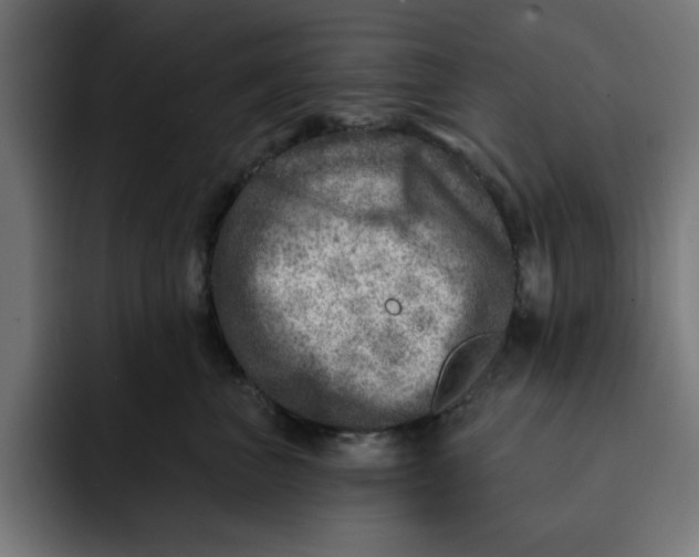 X0000092040667200710031025