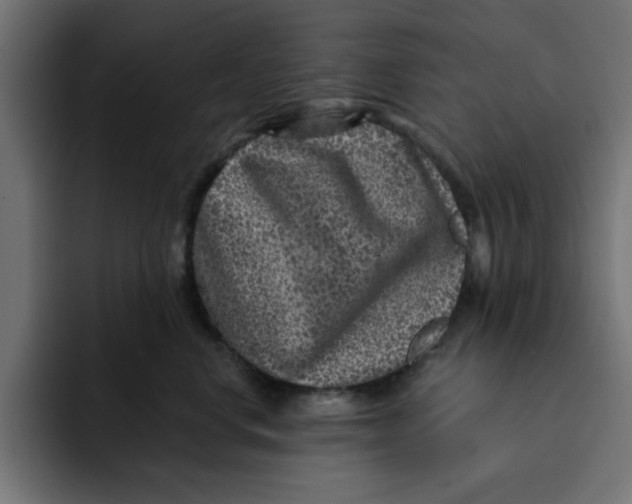 X0000092040668200710031025