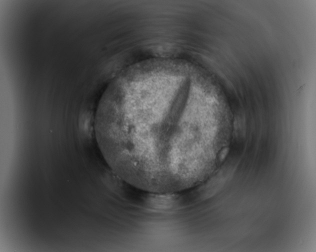 X0000092040671200710031026