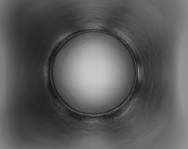 X0000092040675200710031025