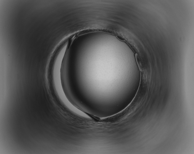 X0000092040676200710031025