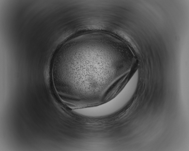 X0000092040677200710031025