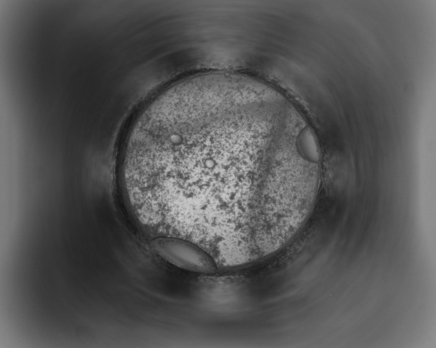 X0000092040679200710031025