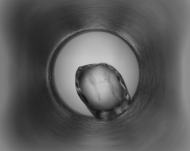 X0000092040680200710031025