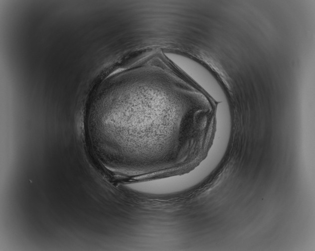 X0000092040681200710031025