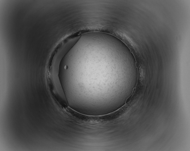 X0000092040684200710031025