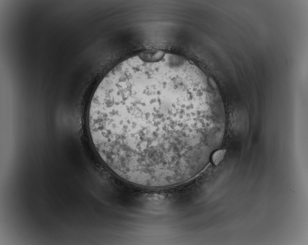 X0000092040687200710031025