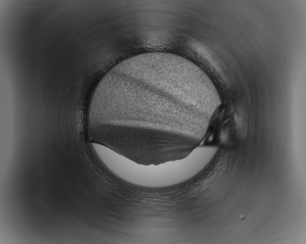 X0000092040689200710031025