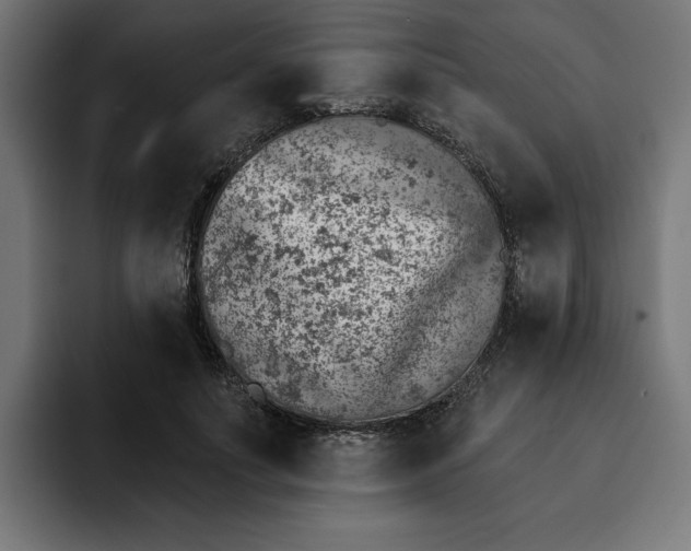 X0000092040691200710031025