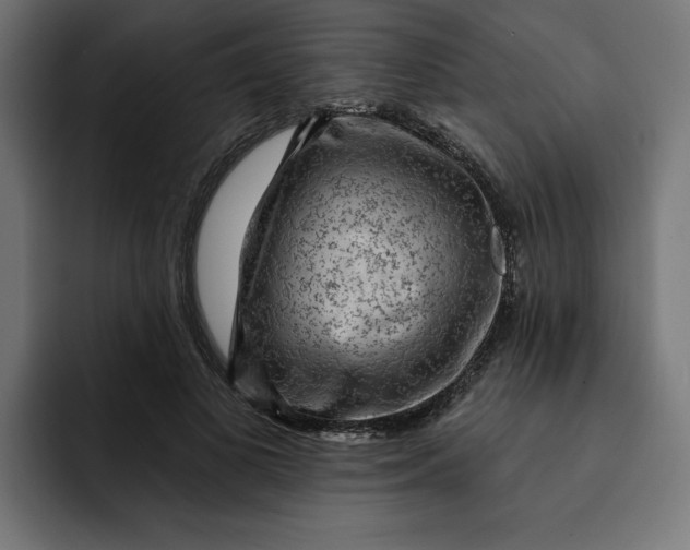 X0000092040693200710031025