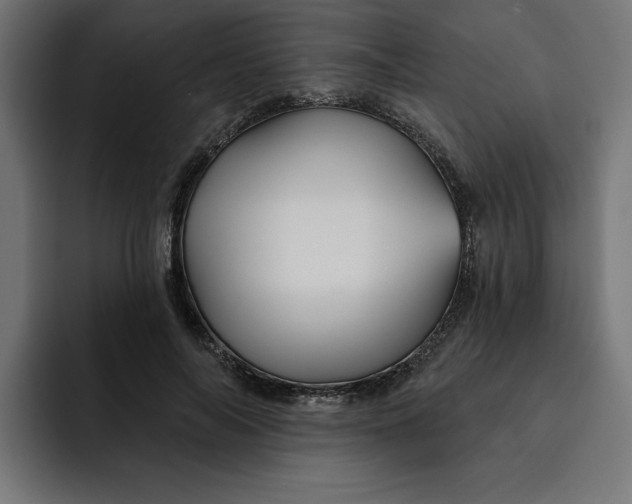 X0000092040694200710031025