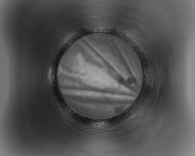 X0000092040695200710031025