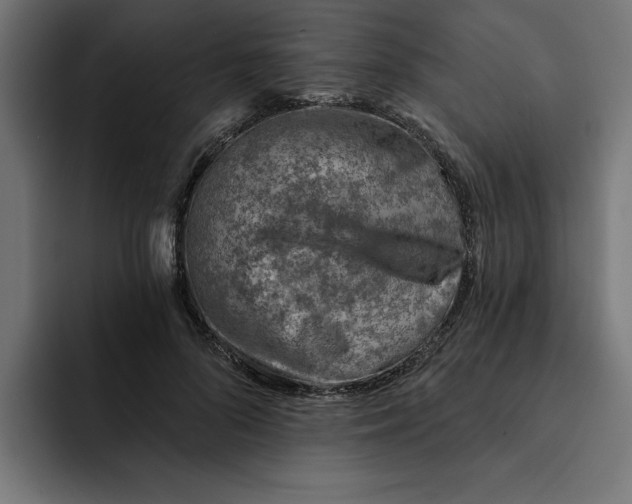 X0000092040696200710031025