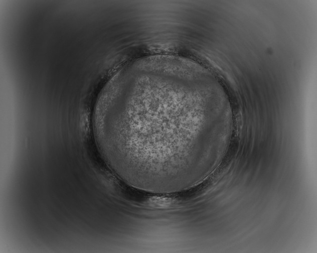 X0000092040699200710031025