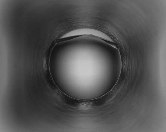 X0000092040700200710031025