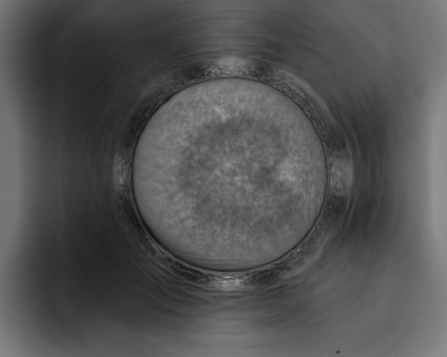 X0000092040701200710031025