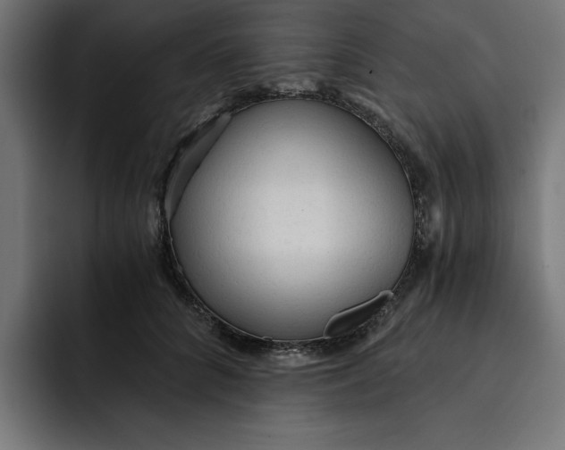 X0000092040704200710031025