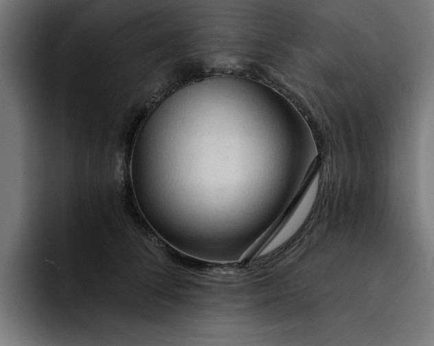 X0000092040708200710031025