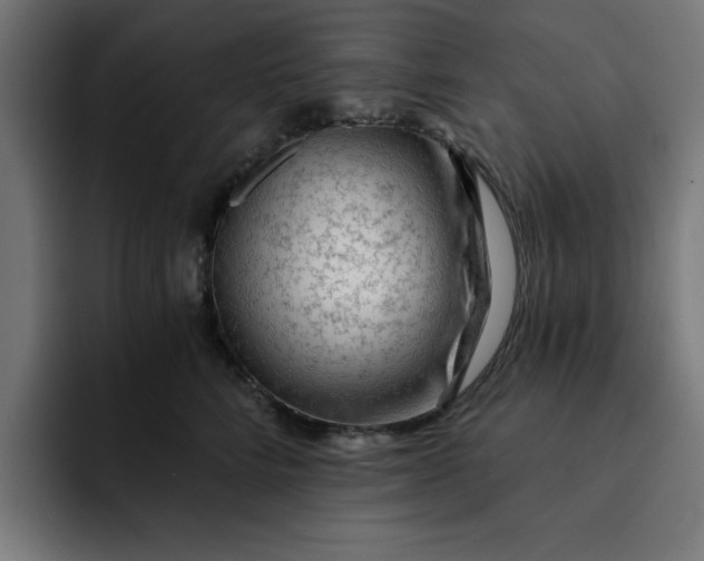 X0000092040712200710031024