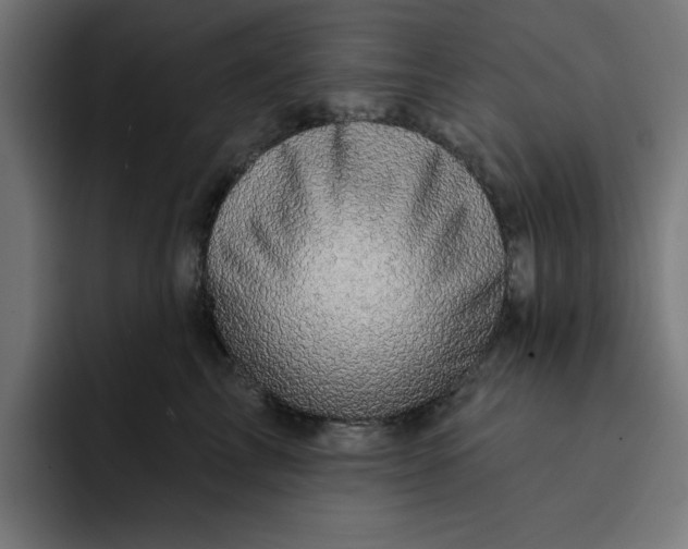 X0000092040713200710031024