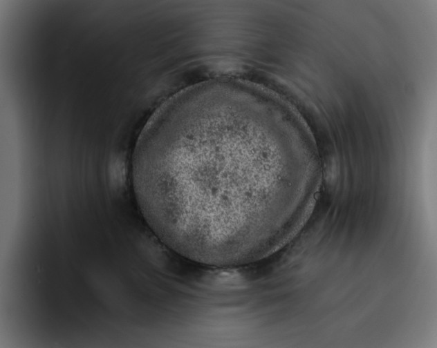 X0000092040715200710031024