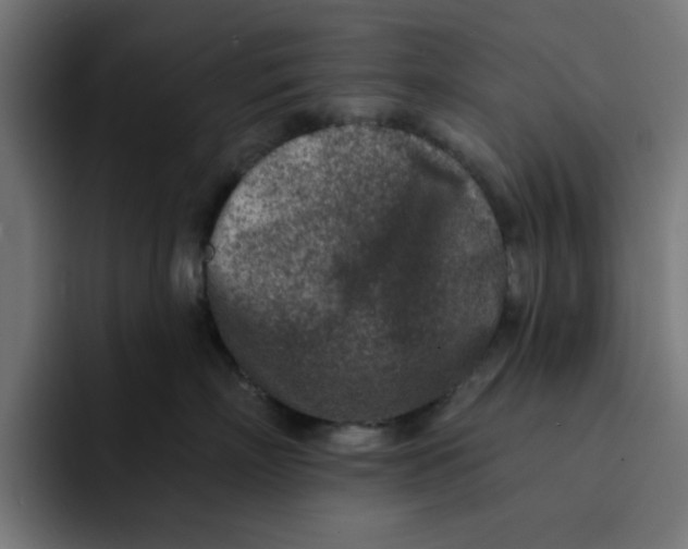 X0000092040718200710031024