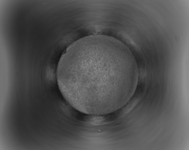 X0000092040719200710031024