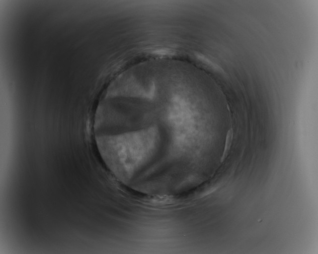 X0000092040720200710031024