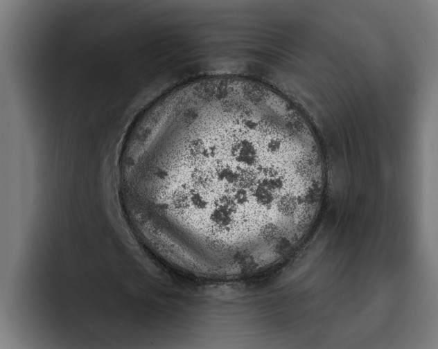 X0000092040721200710031024