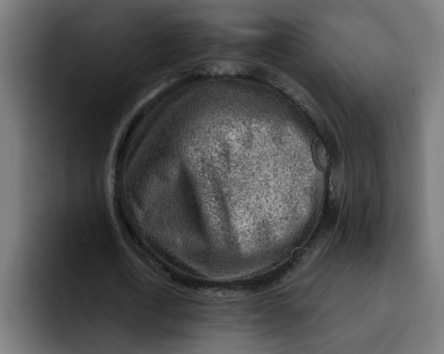 X0000092040722200710031024