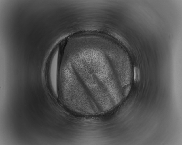 X0000092040723200710031024