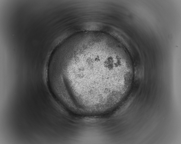 X0000092040725200710031024