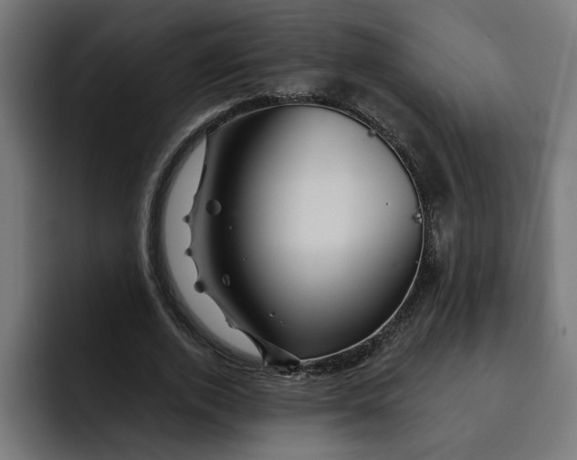 X0000092040728200710031024