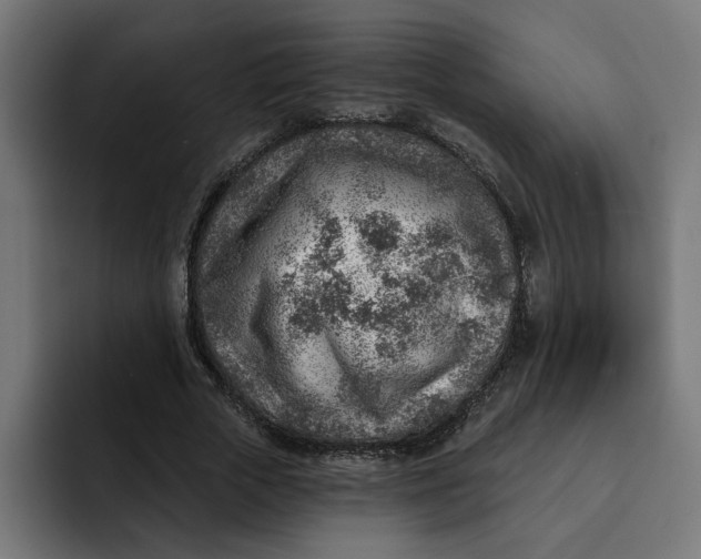 X0000092040729200710031024