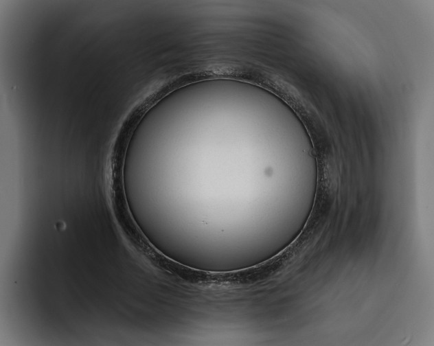 X0000092040730200710031024