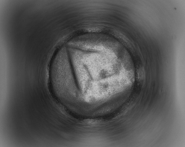 X0000092040733200710031024