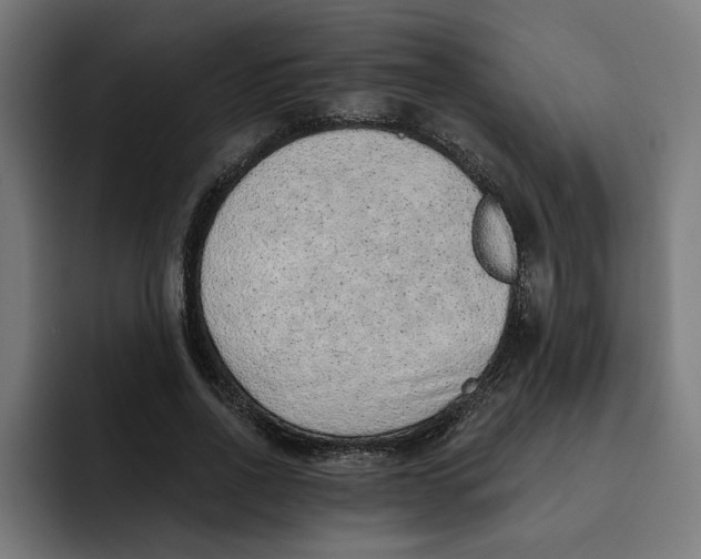 X0000092040734200710031024