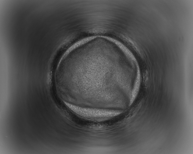 X0000092040735200710031024