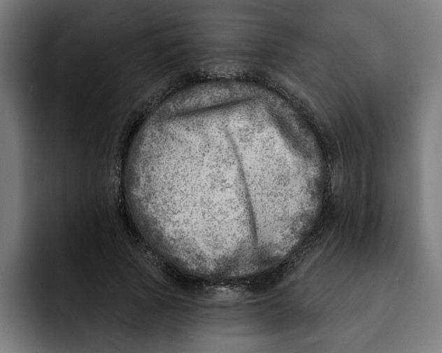 X0000092040737200710031024