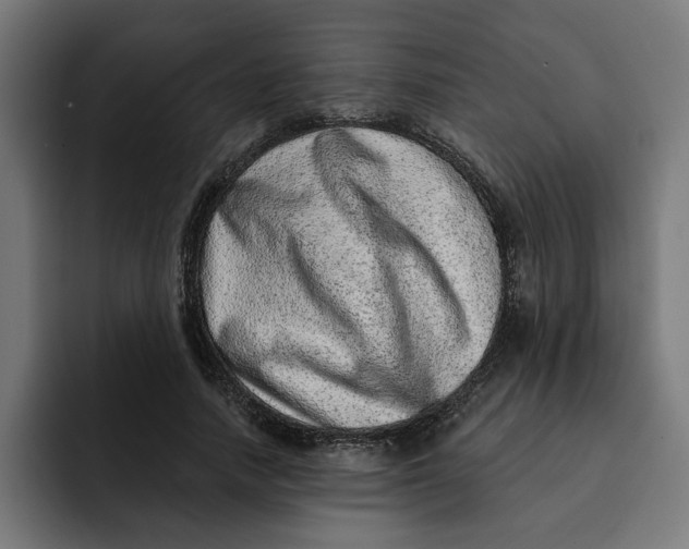 X0000092040738200710031024