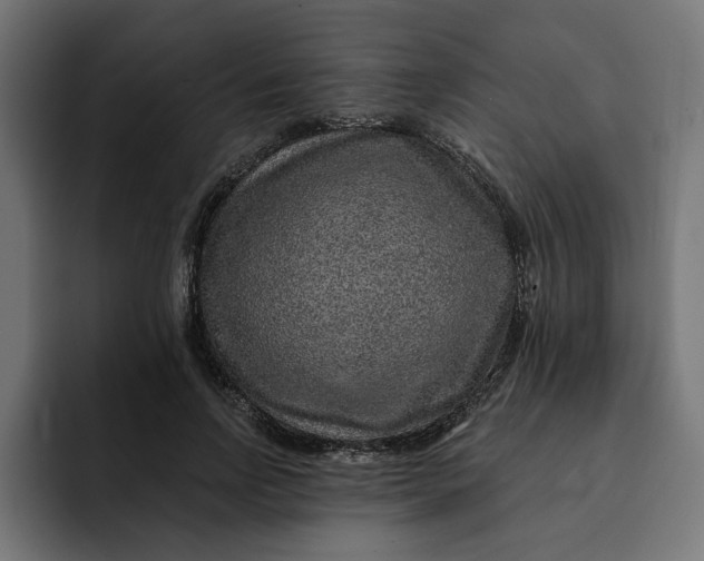 X0000092040742200710031024