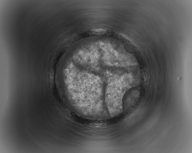 X0000092040745200710031024