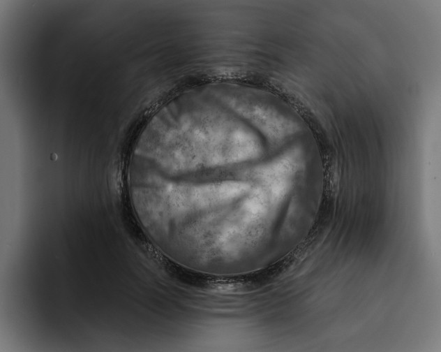 X0000092040746200710031024