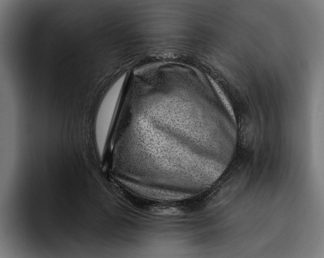 X0000092040747200710031024