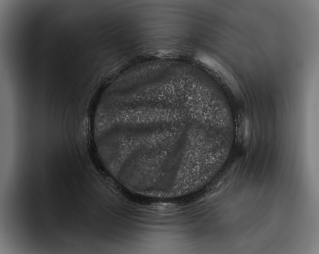 X0000092040748200710031024