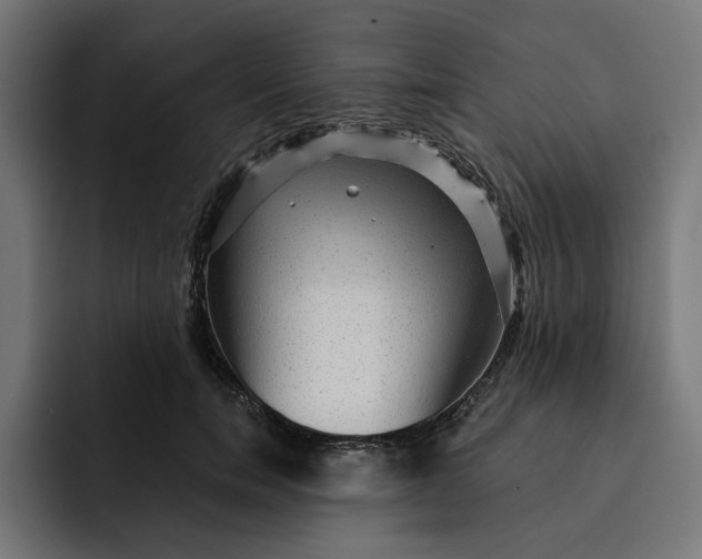 X0000092040750200710031024