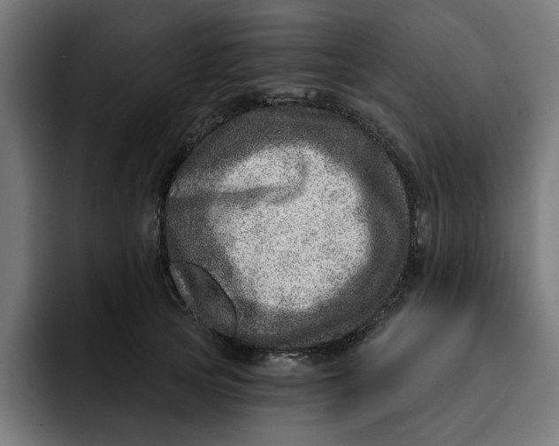 X0000092040753200710031024