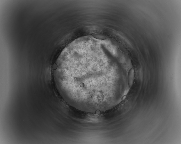 X0000092040757200710031024