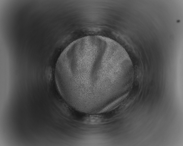 X0000092040758200710031024